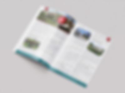 Folder wycieczek szkolnych dla Biura Podróży Rafa-3