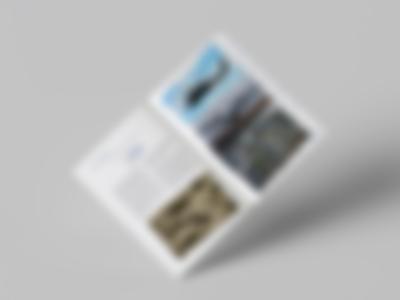 Folder programu edukacyjnego Stery Kariery-1